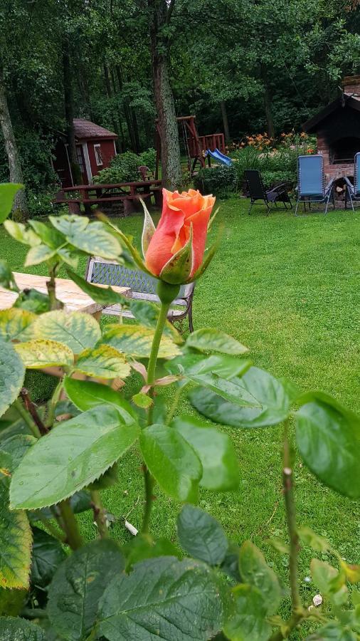 Namelis Nr 1 Adeles Sodyba Sturmai Exterior foto