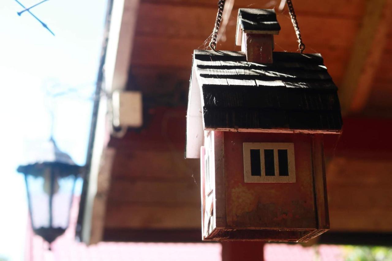 Namelis Nr 1 Adeles Sodyba Sturmai Exterior foto